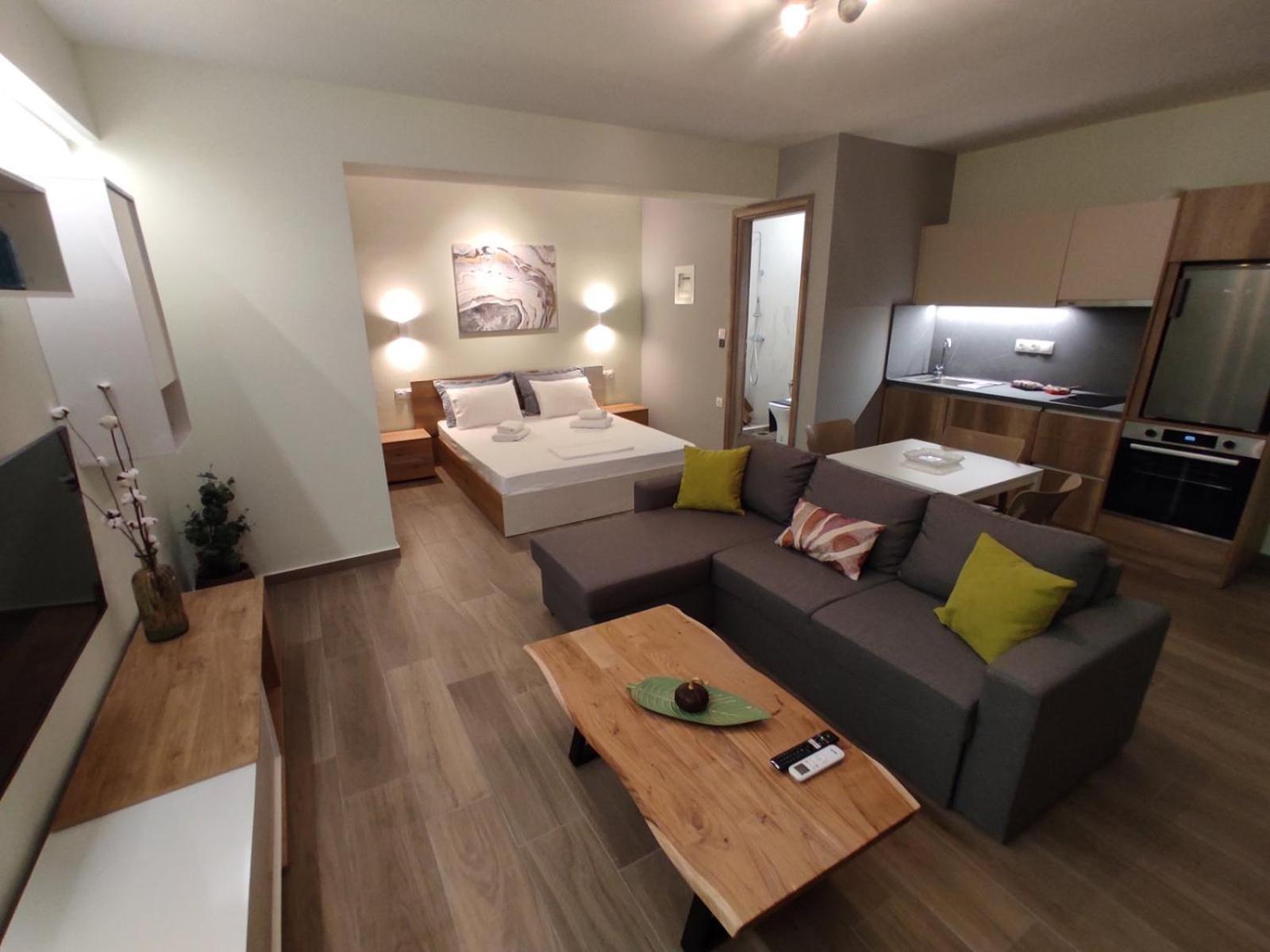 Aliki'S Studio 1 Kalampáka Dış mekan fotoğraf