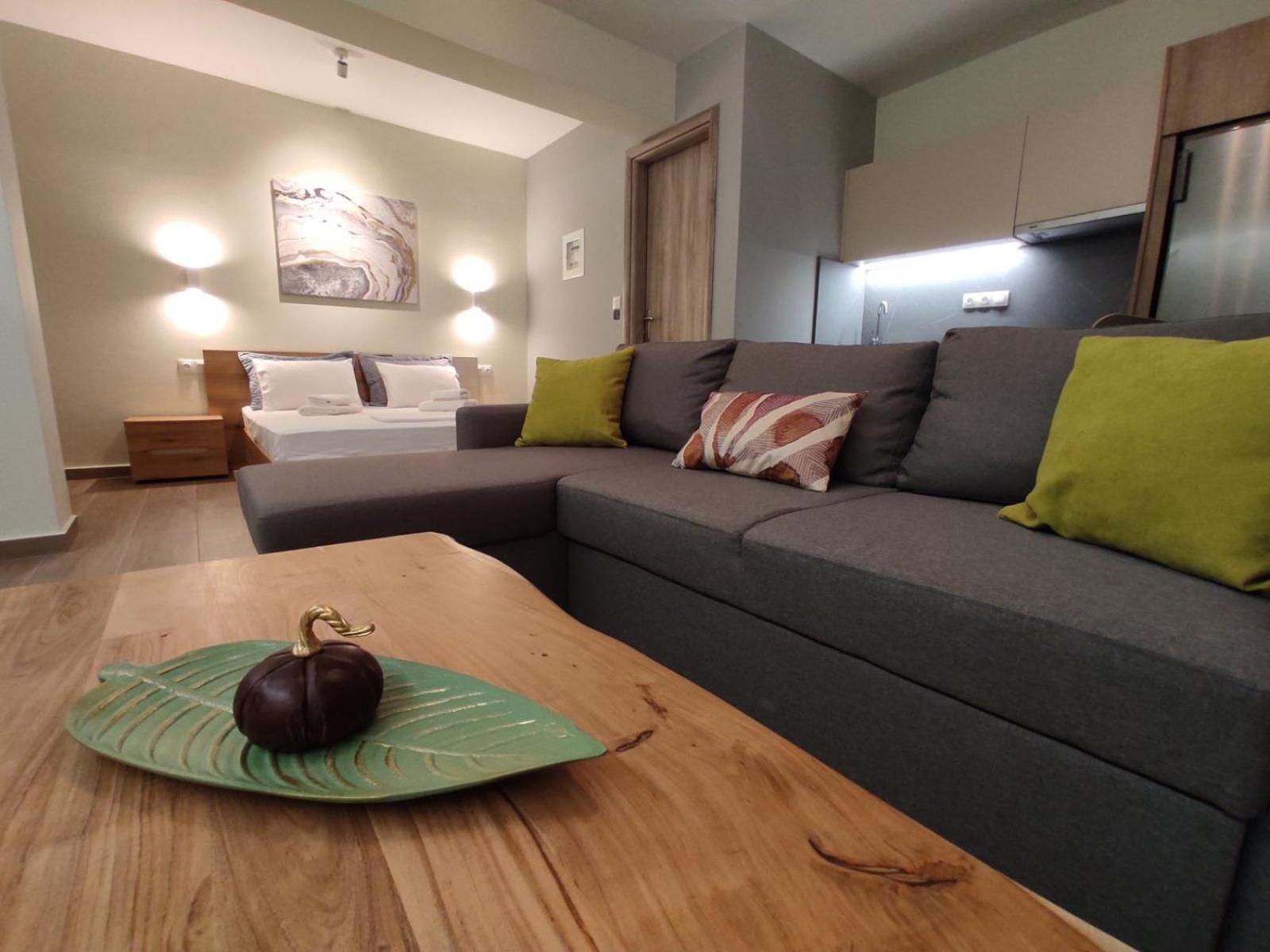 Aliki'S Studio 1 Kalampáka Dış mekan fotoğraf